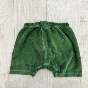 The animals observatory green shorts